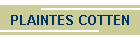 PLAINTES COTTEN